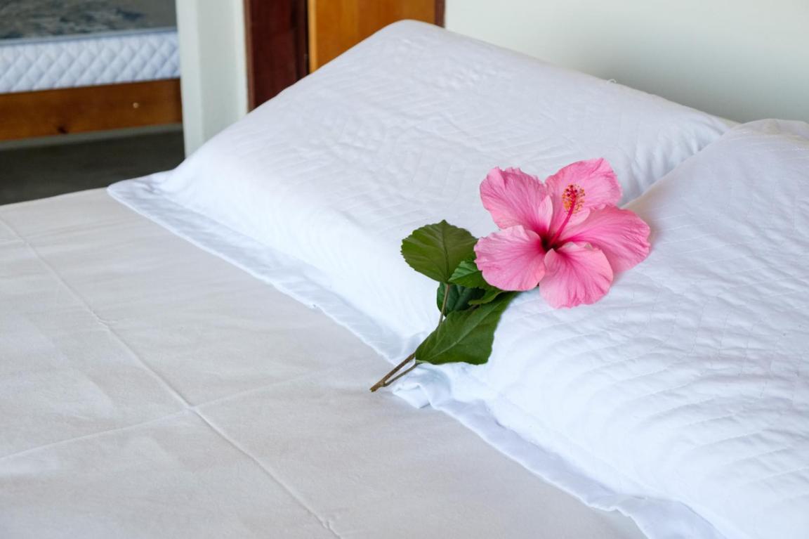 אובטובה Haleiwa Chales E Suites - A Guest House Do Prumirim מראה חיצוני תמונה